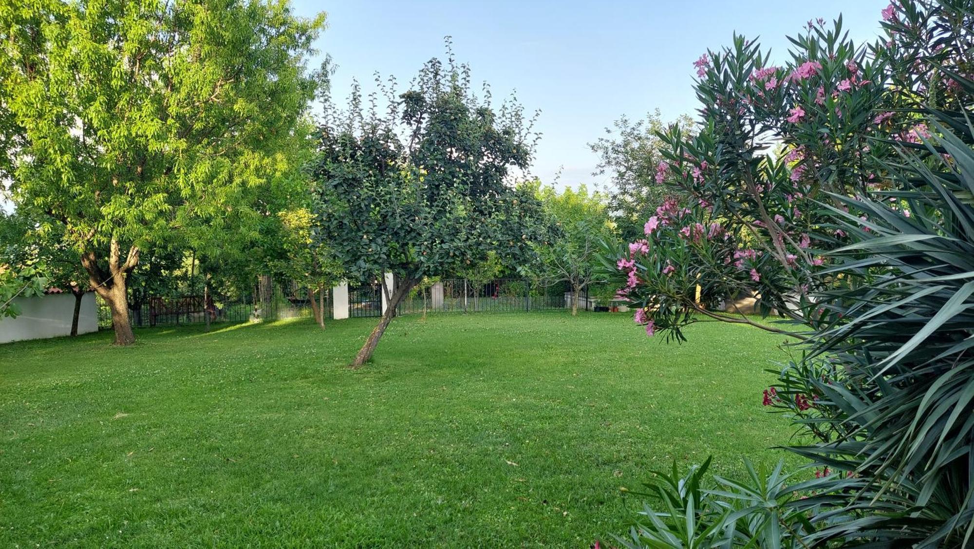 Apartment Oaza Relax Koper Bagian luar foto